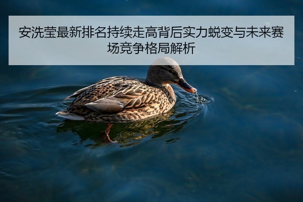 安洗莹最新排名持续走高背后实力蜕变与未来赛场竞争格局解析
